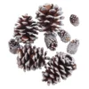 Promo ✔️ Brown & Silver Glitter Pinecones by Ashland® ✨ -Outlet Yuletide Joy Store 10703687 2