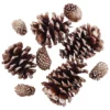Best Sale 🥰 Brown & Gold Glitter Pinecones by Ashland® ✔️ -Outlet Yuletide Joy Store 10703689 2