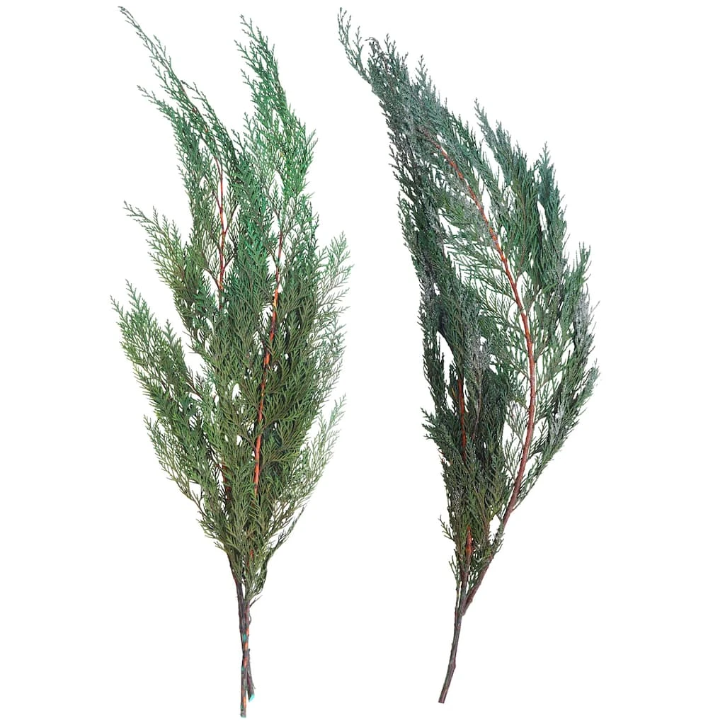 Deals 𧨠Assorted Dried Cedar Bouquet by Ashland® π 3 Deals 𧨠Assorted Dried Cedar Bouquet by Ashland® π