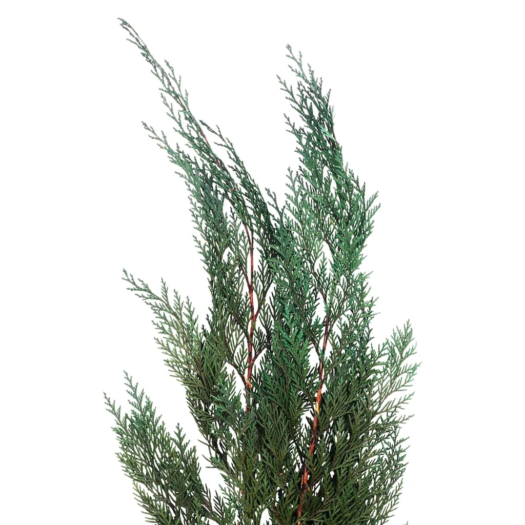 Deals 𧨠Assorted Dried Cedar Bouquet by Ashland® π 4 Deals 𧨠Assorted Dried Cedar Bouquet by Ashland® π - Image 2