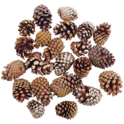 Hot Sale ๐งจ Assorted Cinnamon Scented Pinecones by Ashland® ๐คฉ 7 Hot Sale ๐งจ Assorted Cinnamon Scented Pinecones by Ashland® ๐คฉ -Outlet Yuletide Joy Store 10703830 2