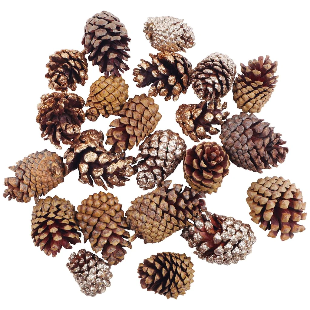 Hot Sale ๐งจ Assorted Cinnamon Scented Pinecones by Ashland® ๐คฉ 5 Hot Sale ๐งจ Assorted Cinnamon Scented Pinecones by Ashland® ๐คฉ - Image 3