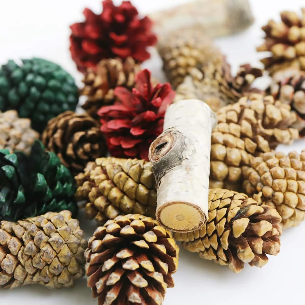 Hot Sale ๐งจ Assorted Cinnamon Scented Pinecones by Ashland® ๐คฉ 4 Hot Sale ๐งจ Assorted Cinnamon Scented Pinecones by Ashland® ๐คฉ - Image 2