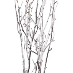 Discount ✔️ Assorted Snow Covered Birch Branch by Ashland® ⭐ 5 Discount ✔️ Assorted Snow Covered Birch Branch by Ashland® ⭐ -Outlet Yuletide Joy Store 10703838 2