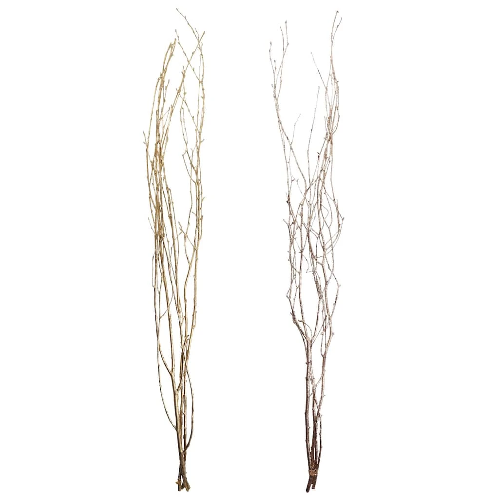 Coupon ✨ Assorted Gold Birch Branch by Ashland® 👍 3 Coupon ✨ Assorted Gold Birch Branch by Ashland® 👍