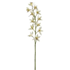 Deals 🥰 8 Pack: Cream Boat Orchid Stem by Ashland® 👏
