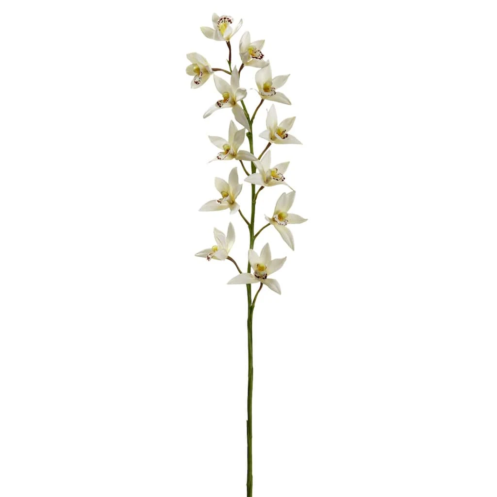 Deals 🥰 8 Pack: Cream Boat Orchid Stem by Ashland® 👏 3 Deals 🥰 8 Pack: Cream Boat Orchid Stem by Ashland® 👏