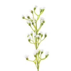 Outlet ✔️ 12 Pack: Ivory Mini Baby's Breath Spray by Ashland® 🔔 -Outlet Yuletide Joy Store MP035159 20
