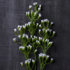 Outlet ✔️ 12 Pack: Ivory Mini Baby's Breath Spray by Ashland® 🔔 -Outlet Yuletide Joy Store MP035159 22