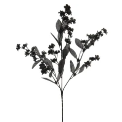 Cheapest 🤩 12 Pack: Black Double Baby's Breath Spray by Ashland® 😉