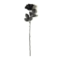 Flash Sale ❤️ 12 Pack: Black Open Rose Stem by Ashland™ ❤️ -Outlet Yuletide Joy Store MP035292 21