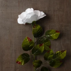 Brand new ⌛ 24 Pack: White Holland Rose Stem by Ashland® 😍 -Outlet Yuletide Joy Store MP056110 25