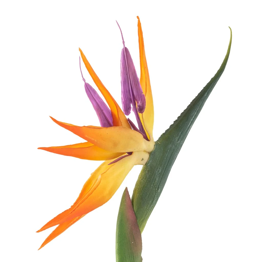 Coupon ๐ 12 Pack: Yellow Bird of Paradise Stem by Ashland® ๐ 6 Coupon ๐ 12 Pack: Yellow Bird of Paradise Stem by Ashland® ๐ - Image 4