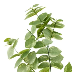 Cheap ⌛ 12 Pack: Green Eucalyptus Branch by Ashland® 🥰