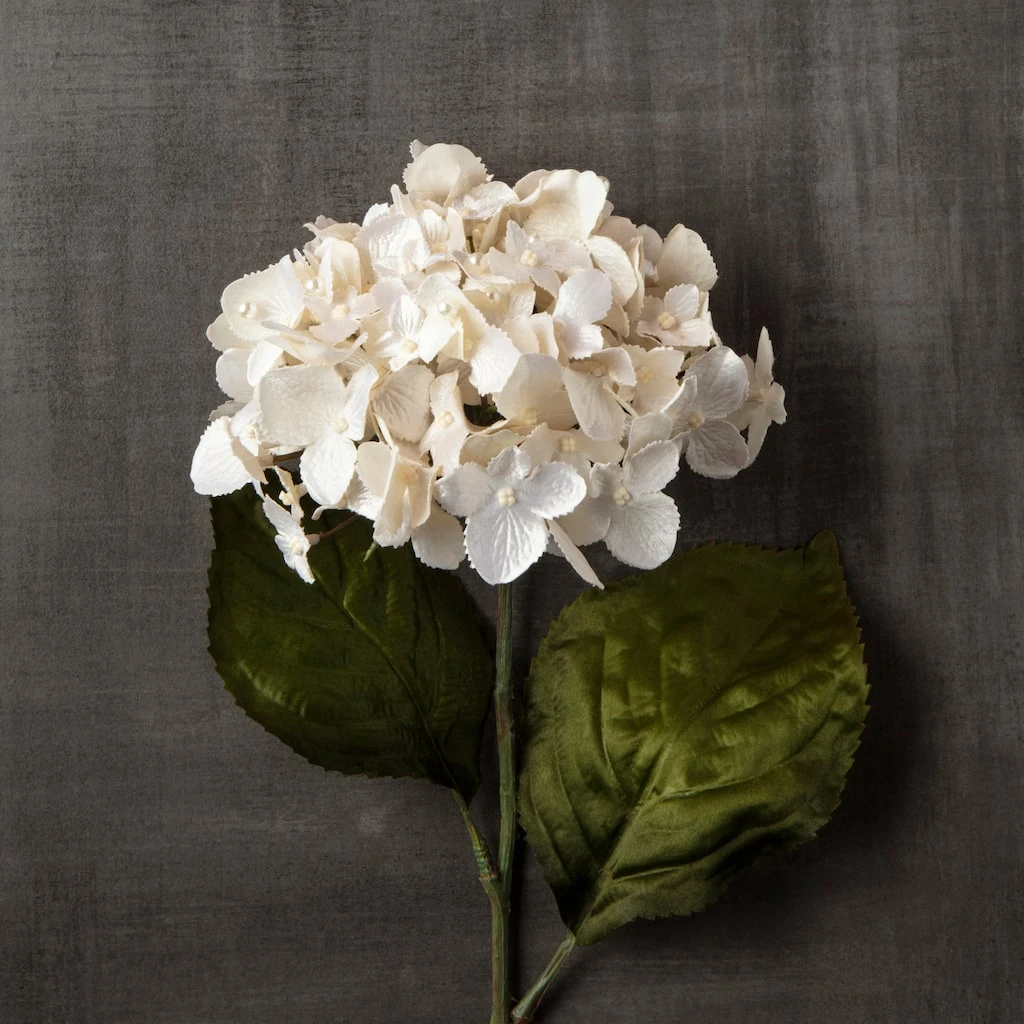 Wholesale ✔️ 12 Pack: Pearl Hydrangea Stem by Ashland® 🔥 4 Wholesale ✔️ 12 Pack: Pearl Hydrangea Stem by Ashland® 🔥 - Image 2