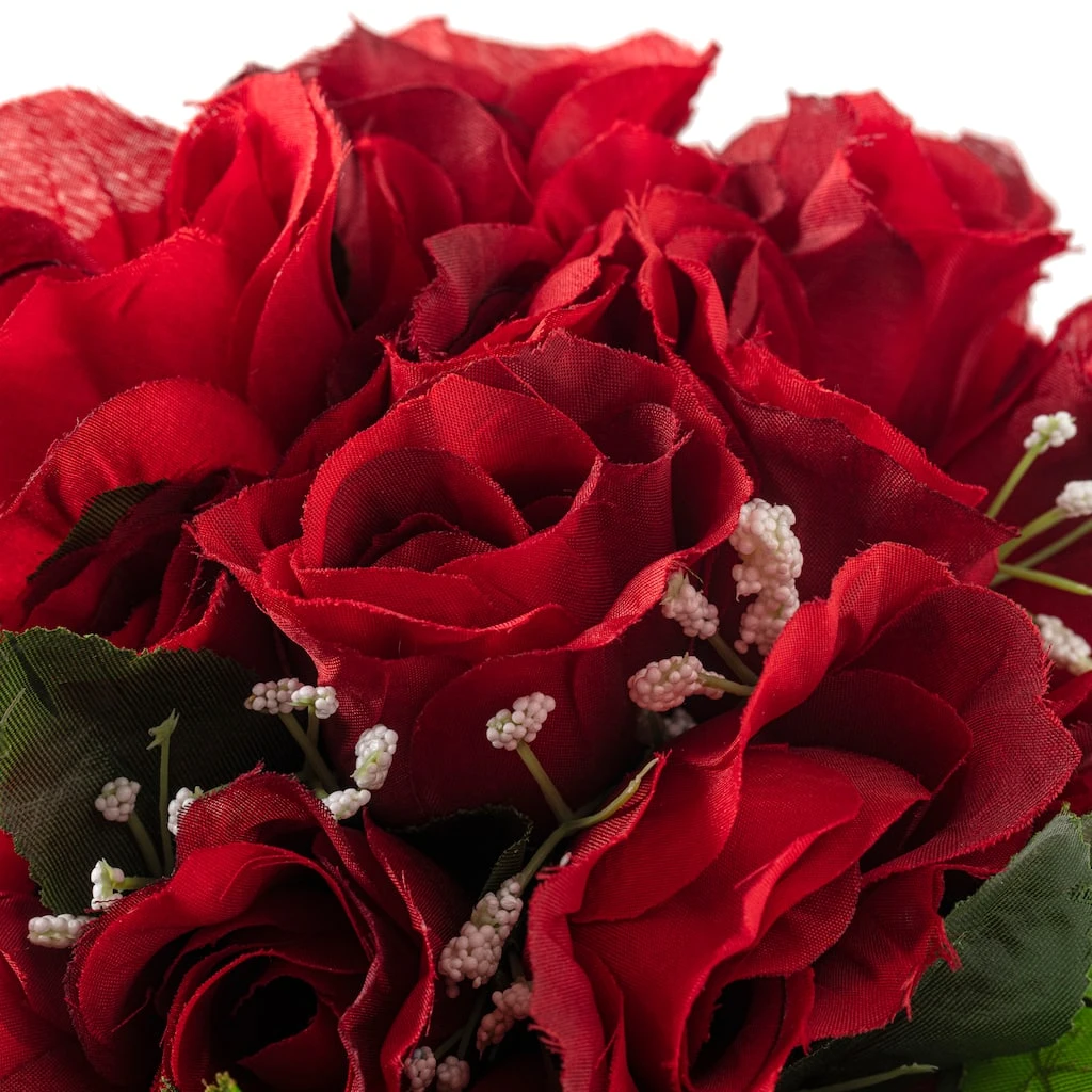 Best reviews of ๐ 12 Pack: Red Rose Bush Classic Traditions™ by Ashland® ๐ 5 Best reviews of ๐ 12 Pack: Red Rose Bush Classic Traditions™ by Ashland® ๐ - Image 3