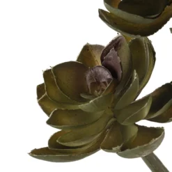 Budget 🎉 12 Pack: Assorted Succulent Pick by Ashland® 😀 -Outlet Yuletide Joy Store MP128870 20