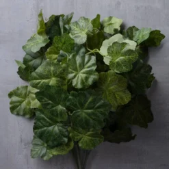 Flash Sale ✔️ 10 Pack: Coral Bell Bush by Ashland® 👍 -Outlet Yuletide Joy Store MP129104 25