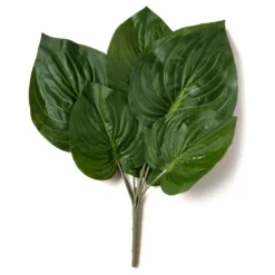 Top 10 ⭐ 12 Pack: Green Hosta Bush by Ashland® ✔️ -Outlet Yuletide Joy Store MP131106 21