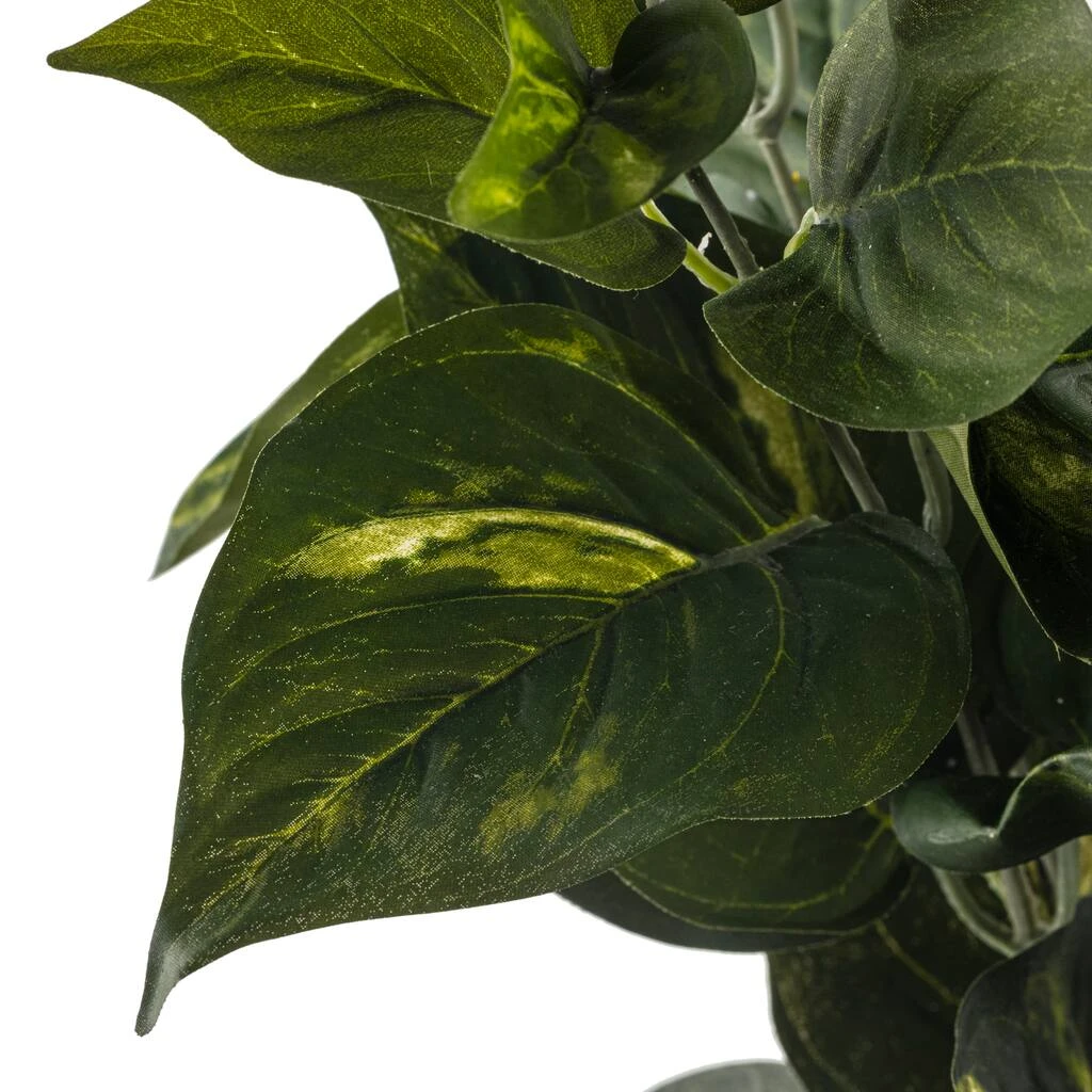 Hot Sale 👏 12 Pack: Pothos Bush by Ashland® Real Touch™ ❤️ 6 Hot Sale 👏 12 Pack: Pothos Bush by Ashland® Real Touch™ ❤️ - Image 4