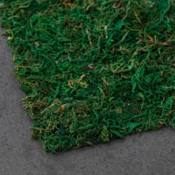 Brand new ⭐ 12 Pack: Moss Table Runner by Ashland® ⭐ -Outlet Yuletide Joy Store MP135021 21