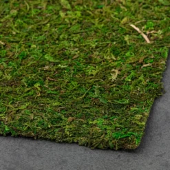 Wholesale ✔️ 12 Pack: Moss Mat by Ashland® ⌛ -Outlet Yuletide Joy Store MP135027 21