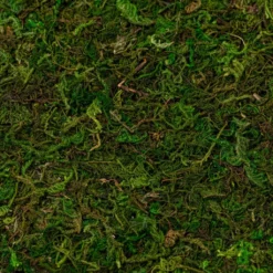 Wholesale ✔️ 12 Pack: Moss Mat by Ashland® ⌛ -Outlet Yuletide Joy Store MP135027 22