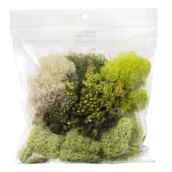 Flash Sale 🌟 6 Pack: Moss Variety Pack by Ashland® ❤️