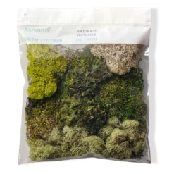 Flash Sale 🌟 6 Pack: Moss Variety Pack by Ashland® ❤️ -Outlet Yuletide Joy Store MP135036 20