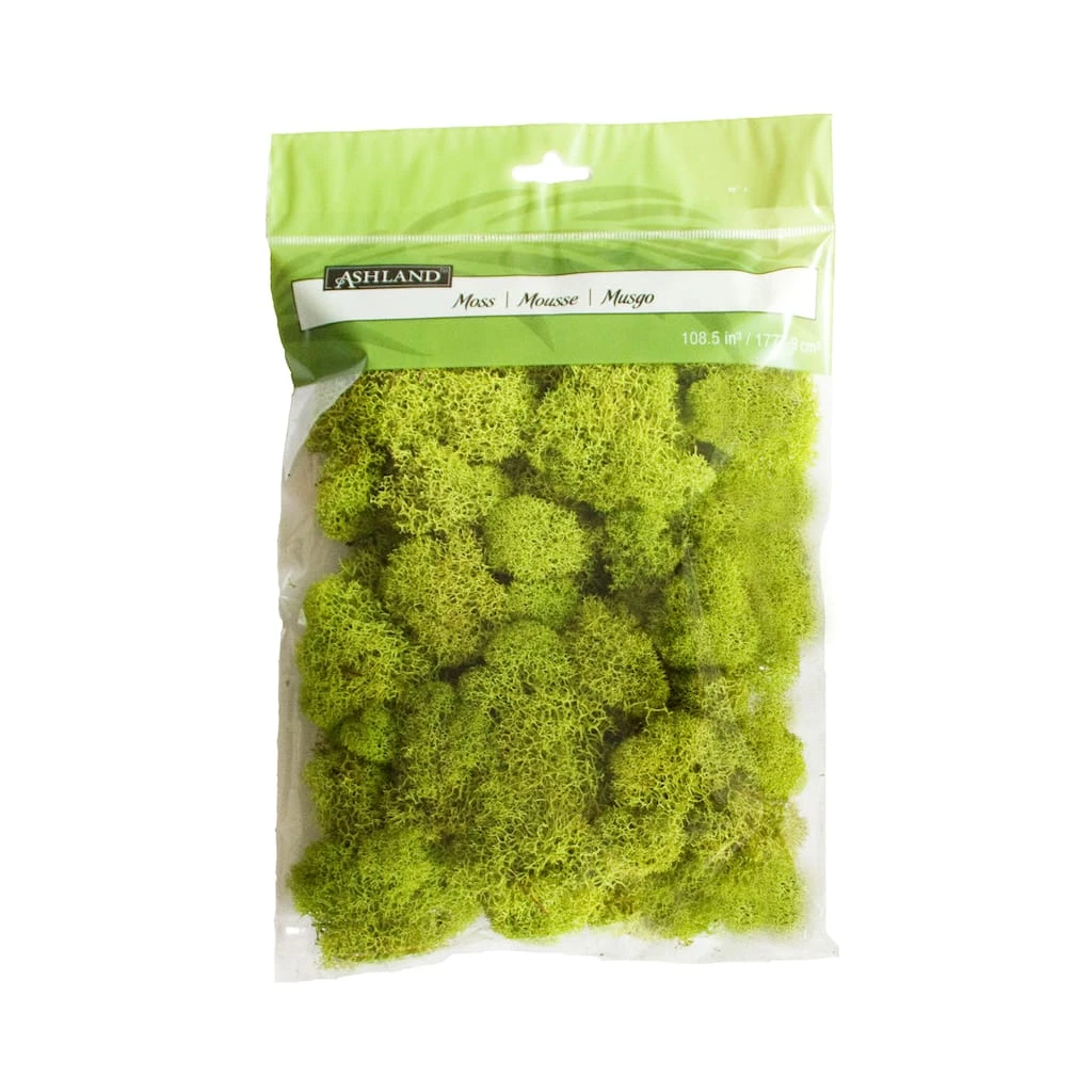 Flash Sale 💯 12 Pack: Reindeer Moss by Ashland® ✨ 3 Flash Sale 💯 12 Pack: Reindeer Moss by Ashland® ✨