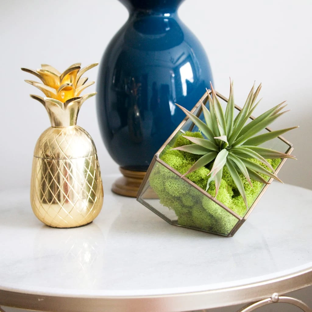 Flash Sale 💯 12 Pack: Reindeer Moss by Ashland® ✨ 4 Flash Sale 💯 12 Pack: Reindeer Moss by Ashland® ✨ - Image 2