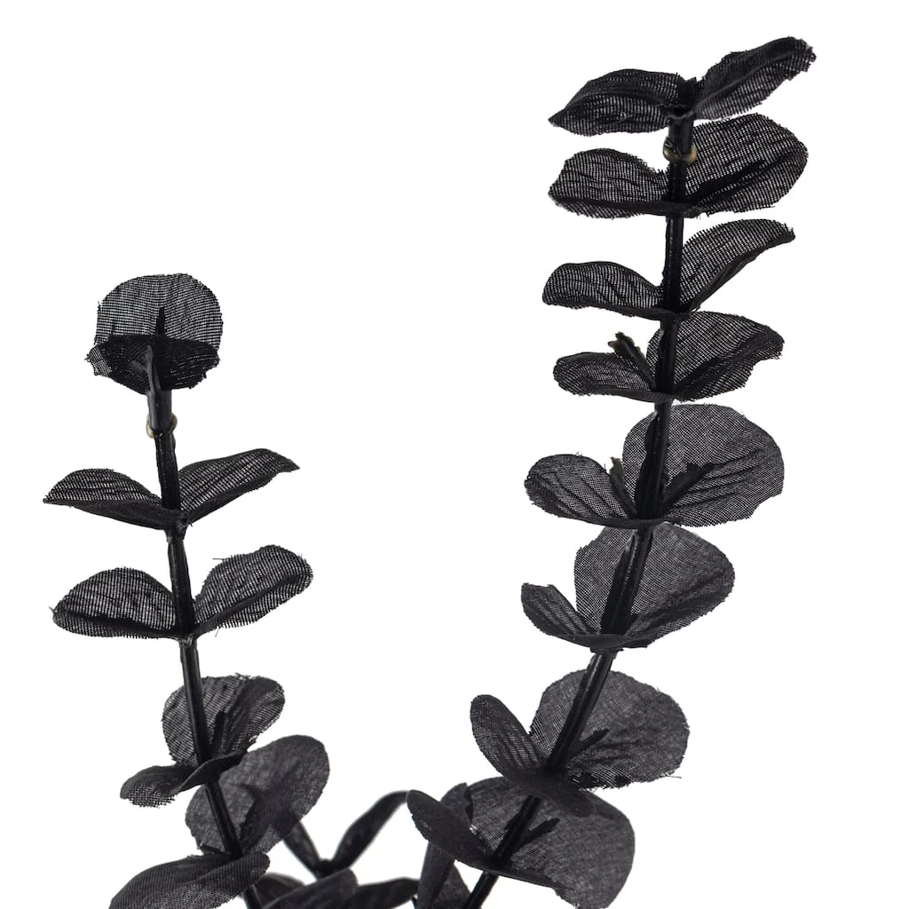 Promo ⭐ 12 Pack: Black Eucalyptus Spray by Ashland® ⌛ 5 Promo ⭐ 12 Pack: Black Eucalyptus Spray by Ashland® ⌛ - Image 3