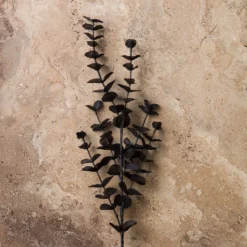 Promo ⭐ 12 Pack: Black Eucalyptus Spray by Ashland® ⌛ 9 Promo ⭐ 12 Pack: Black Eucalyptus Spray by Ashland® ⌛ -Outlet Yuletide Joy Store MP158724 22