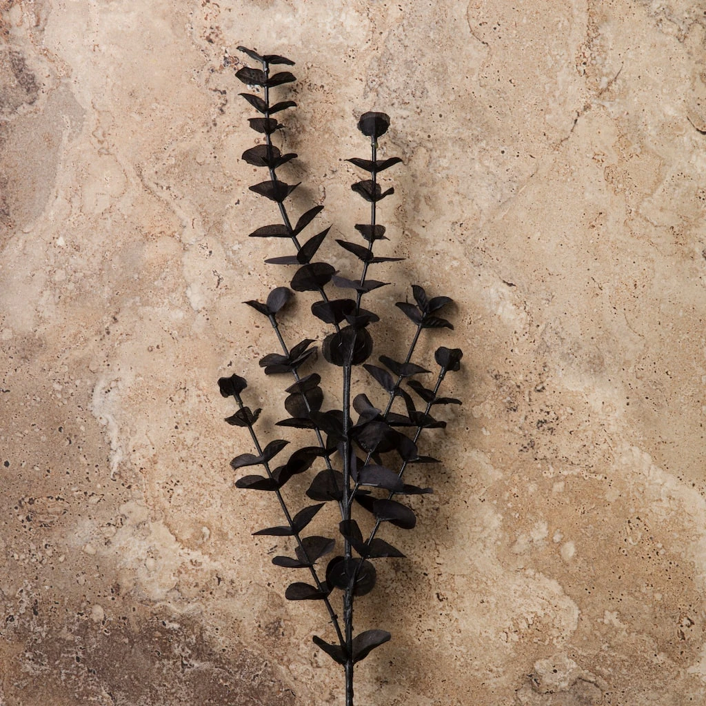 Promo ⭐ 12 Pack: Black Eucalyptus Spray by Ashland® ⌛ 6 Promo ⭐ 12 Pack: Black Eucalyptus Spray by Ashland® ⌛ - Image 4