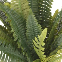 Buy 👍 12 Pack: Boston Fern Bush by Ashland® ⭐ -Outlet Yuletide Joy Store MP194922 2