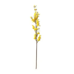 Top 10 👏 12 Pack: Yellow Forsythia Branch Spray by Ashland® ✔️ -Outlet Yuletide Joy Store MP205308 21