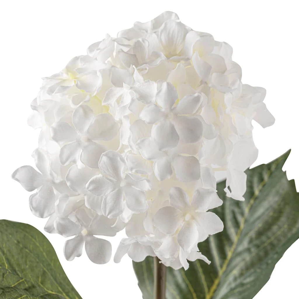 Best reviews of π 12 Pack: White Hydrangea Spray by Ashland® βοΈ 4 Best reviews of π 12 Pack: White Hydrangea Spray by Ashland® βοΈ - Image 2