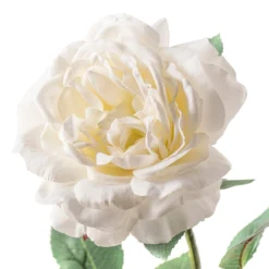 Top 10 π 12 Pack: White Sophia Rose Stem by Ashland® 𧨠9 Top 10 π 12 Pack: White Sophia Rose Stem by Ashland® 𧨠-Outlet Yuletide Joy Store MP213470 20