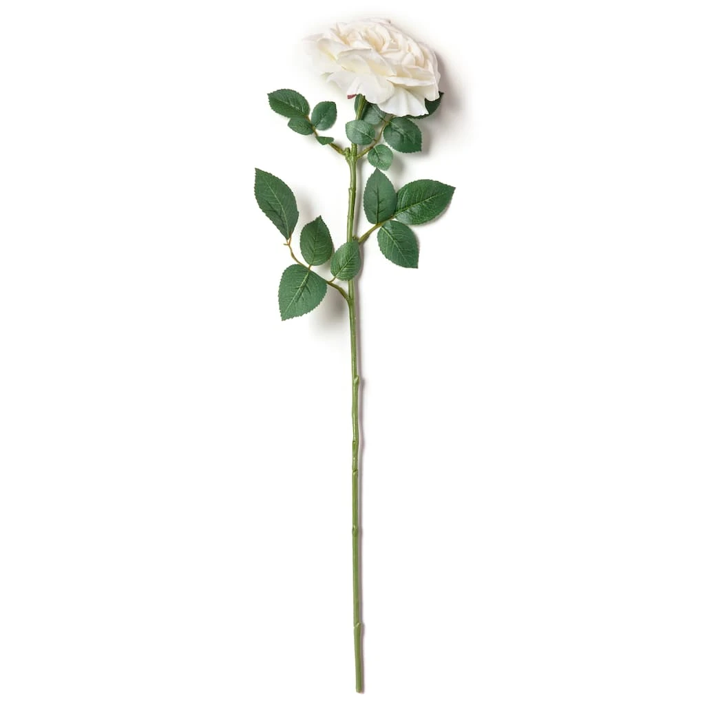 Top 10 π 12 Pack: White Sophia Rose Stem by Ashland® 𧨠4 Top 10 π 12 Pack: White Sophia Rose Stem by Ashland® 𧨠- Image 2