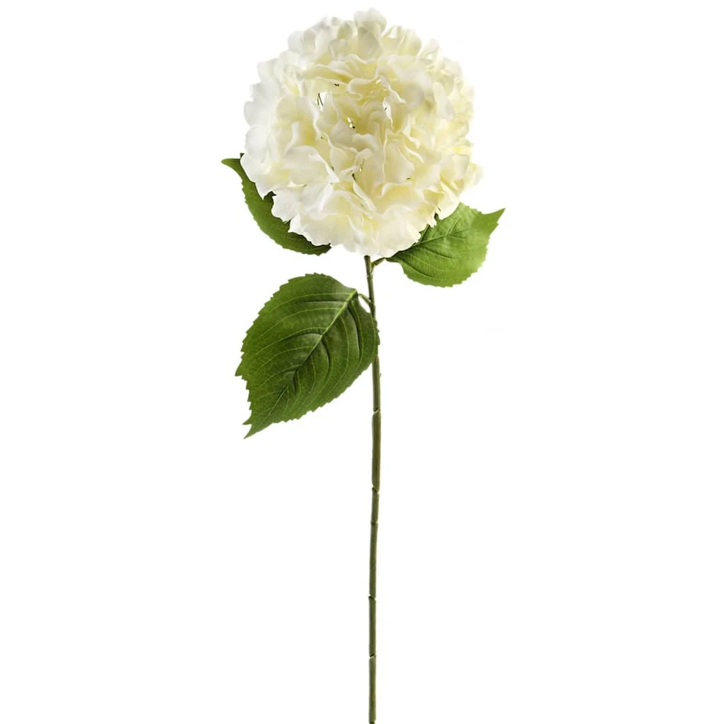 Outlet π 12 Pack: Classic Traditions™ White Hydrangea Stem by Ashland® β¨ 3 Outlet π 12 Pack: Classic Traditions™ White Hydrangea Stem by Ashland® β¨