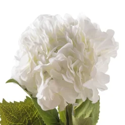 Outlet π 12 Pack: Classic Traditions™ White Hydrangea Stem by Ashland® β¨ 8 Outlet π 12 Pack: Classic Traditions™ White Hydrangea Stem by Ashland® β¨ -Outlet Yuletide Joy Store MP213498 20