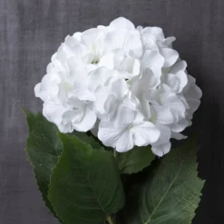 Outlet π 12 Pack: Classic Traditions™ White Hydrangea Stem by Ashland® β¨ 9 Outlet π 12 Pack: Classic Traditions™ White Hydrangea Stem by Ashland® β¨ -Outlet Yuletide Joy Store MP213498 22