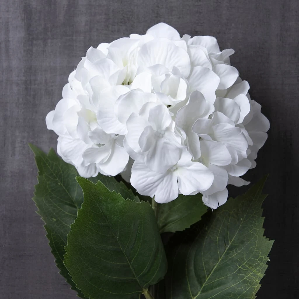 Outlet π 12 Pack: Classic Traditions™ White Hydrangea Stem by Ashland® β¨ 6 Outlet π 12 Pack: Classic Traditions™ White Hydrangea Stem by Ashland® β¨ - Image 4