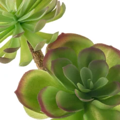 Budget β 12 Pack: Assorted Red Tipped Succulent Pick by Ashland® π― 16 Budget β 12 Pack: Assorted Red Tipped Succulent Pick by Ashland® π― -Outlet Yuletide Joy Store MP229986 20