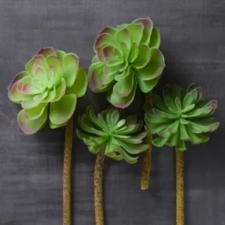 Budget β 12 Pack: Assorted Red Tipped Succulent Pick by Ashland® π― 15 Budget β 12 Pack: Assorted Red Tipped Succulent Pick by Ashland® π― -Outlet Yuletide Joy Store MP229986 22