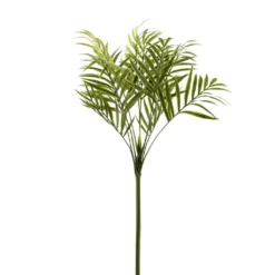 Top 10 ⌛ 12 Pack: Green Palm Spray by Ashland® 🔥