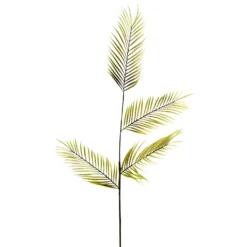 Best deal ⭐ 12 Pack: Green Tropical Areca Palm Stem by Ashland® 👏