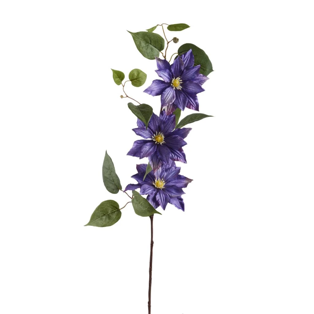 Cheapest π 12 Pack: Purple Clematis Stem by Ashland® β¨ 3 Cheapest π 12 Pack: Purple Clematis Stem by Ashland® β¨