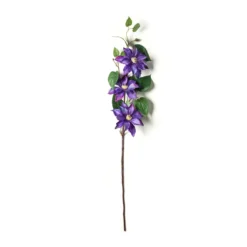 Cheapest π 12 Pack: Purple Clematis Stem by Ashland® β¨ 7 Cheapest π 12 Pack: Purple Clematis Stem by Ashland® β¨ -Outlet Yuletide Joy Store MP230902 21