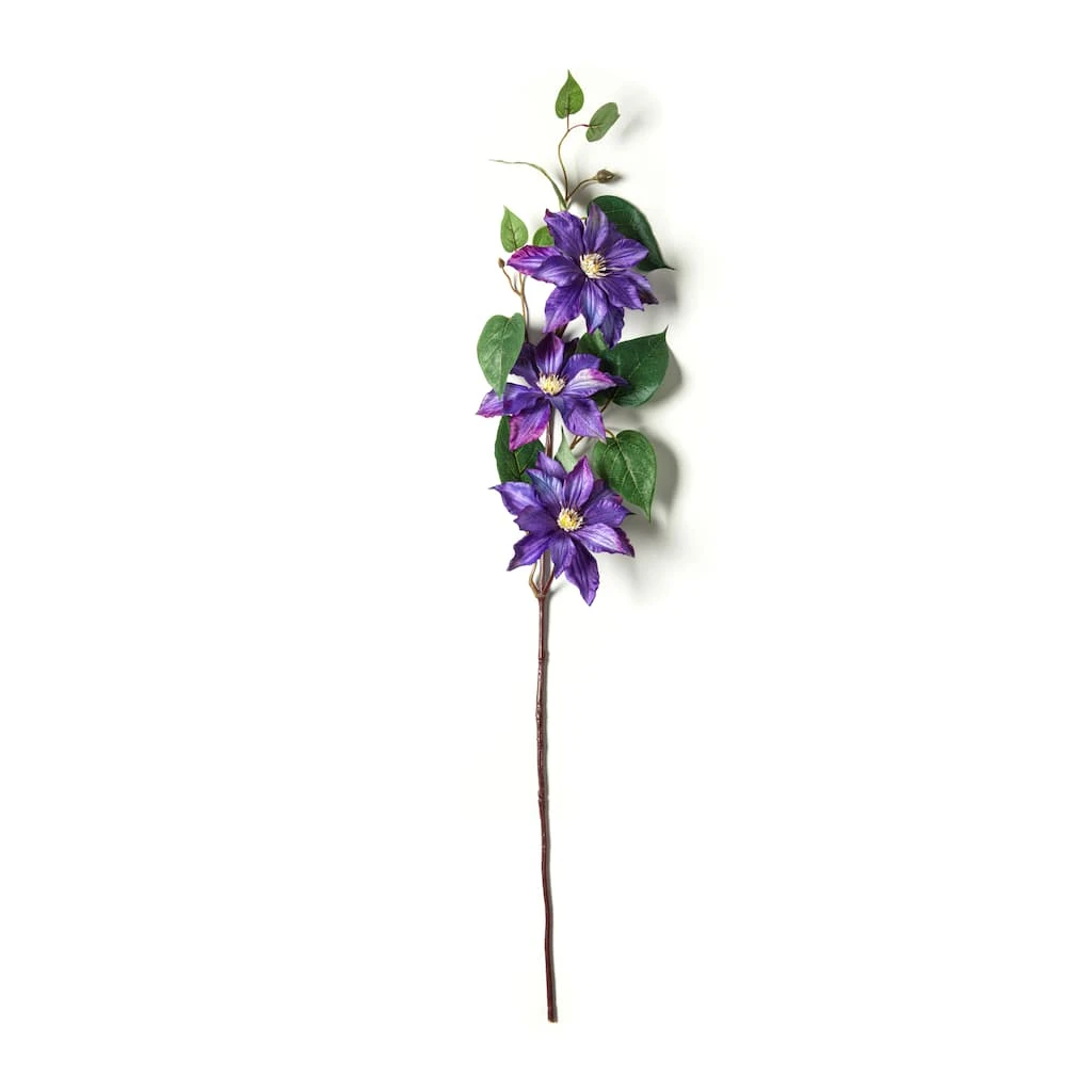 Cheapest π 12 Pack: Purple Clematis Stem by Ashland® β¨ 4 Cheapest π 12 Pack: Purple Clematis Stem by Ashland® β¨ - Image 2